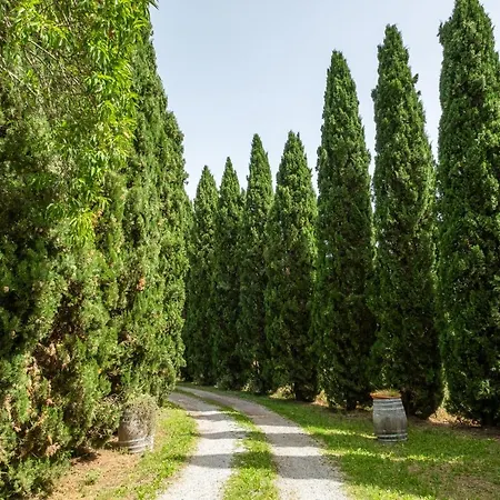 Farm stay La Pieve - Rose *