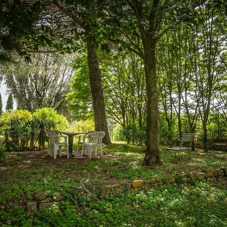 Feriegård La Pieve - Rose *