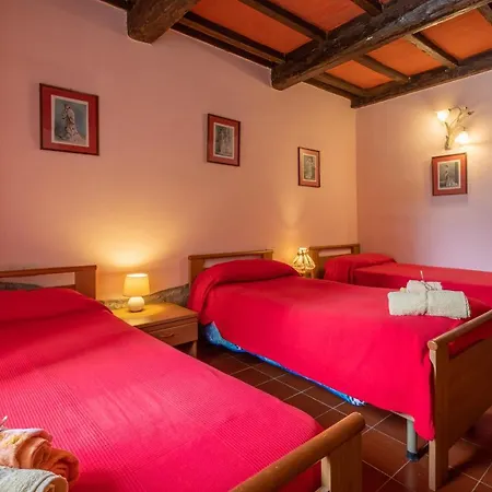 La Pieve - Rose Pereta