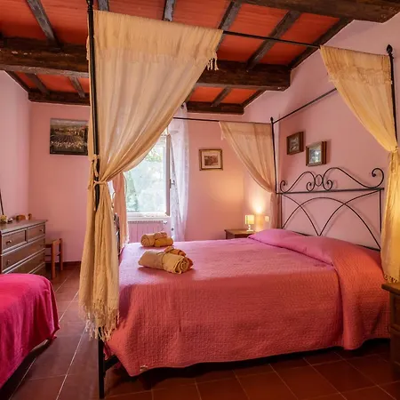 La Pieve - Rose Farma *