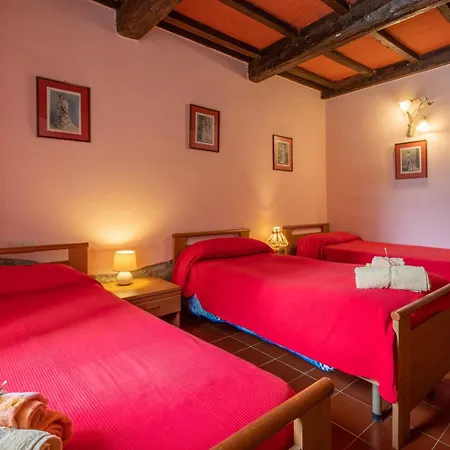 La Pieve - Rose Farma *