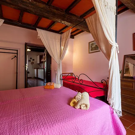La Pieve - Rose Farma