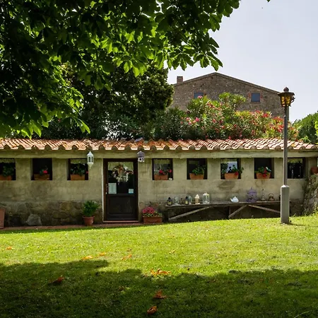 Farma La Pieve - Rose *