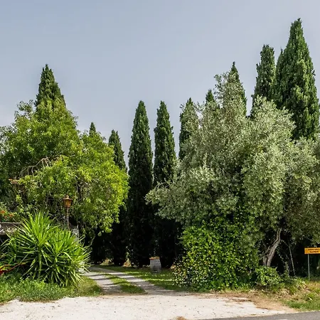 La Pieve - Rose Farma