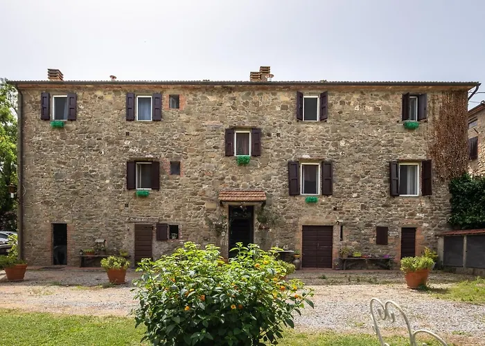 La Pieve - Rose